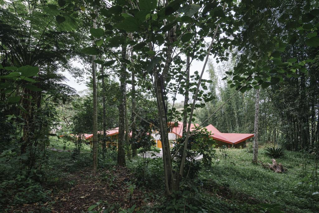 Hostal Tosepan Kali Cuetzalán del Progreso Zewnętrze zdjęcie